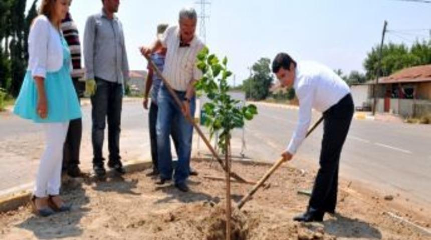 T&uuml;t&uuml;nc&uuml; Beşkonaklılar Mahallesi&rsquo;nde