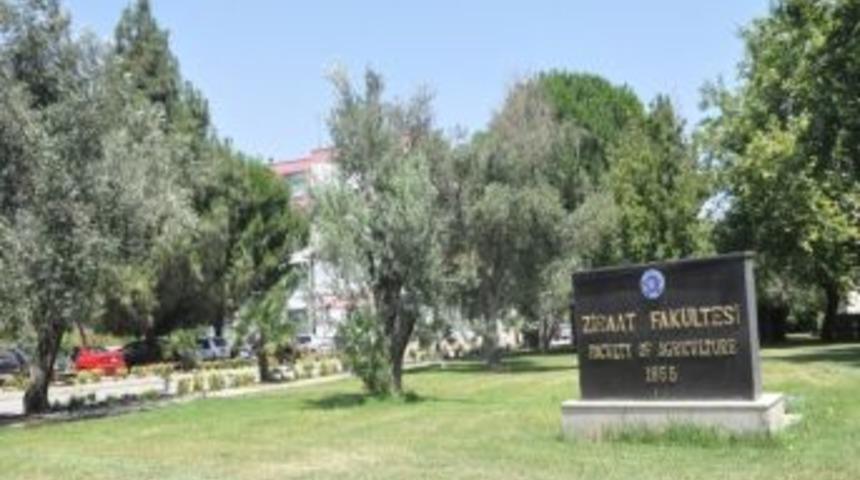 &Uuml;niversite Bah&ccedil;esinde Hint Keneviri Bulundu