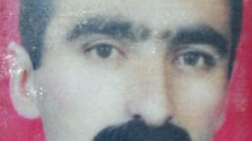 Arıların Saldırısına Uğrayan Bir Kişi Hayatını Kaybetti