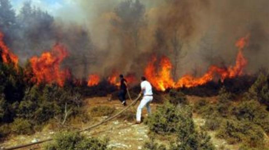 Erzinde'ki Orman Yangını Evlere Sıçramadan Söndürüldü
