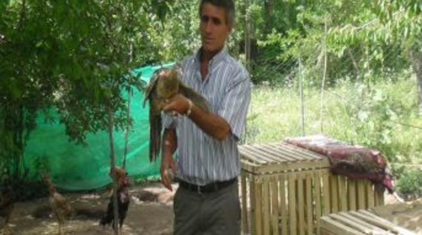 Evinde 5 Kıta, 15 &Uuml;lkeden Getirdikleri 100 Ayrı T&uuml;r Hayvan Besliyor