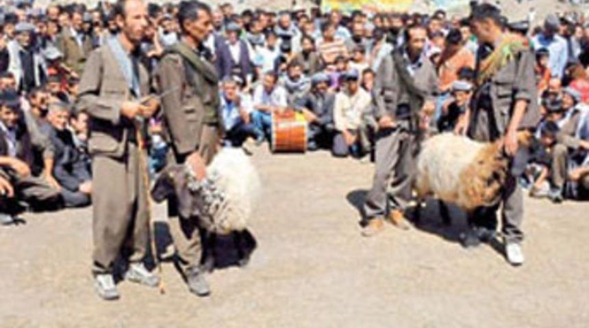 Kuzu postunda ter&ouml;rist tuzağı