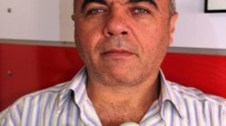 Tavuk Yeşil Yumurtladı