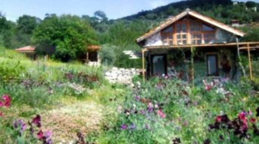 Dağ Başında Bir Ressam; Şerife Arıkan