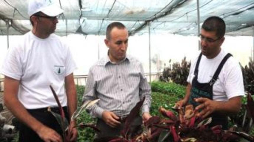 Umep Gen&ccedil;leri Staja Başladı