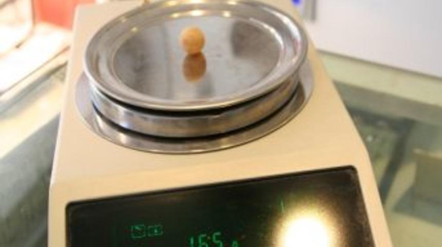Devrek&rsquo;te 1.65 Cm&rsquo;lik Yumurta Şaşırttı