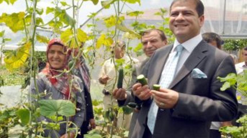 &Ccedil;ift&ccedil;i Kadınlar &Uuml;r&uuml;nlerinin Ilk Meyvesini Aldı