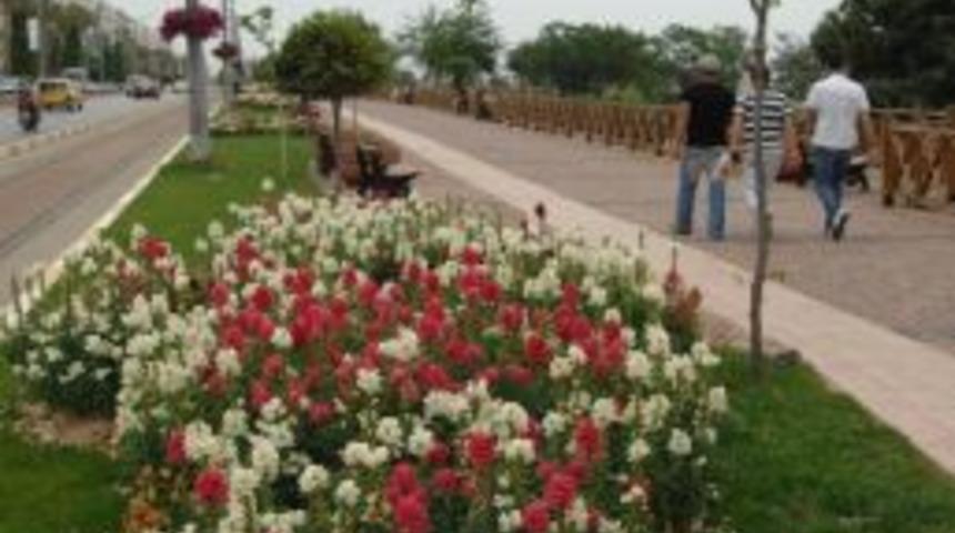 Antalya&rsquo;nın Sokakları &Ccedil;i&ccedil;ek Bah&ccedil;esine D&ouml;nd&uuml;