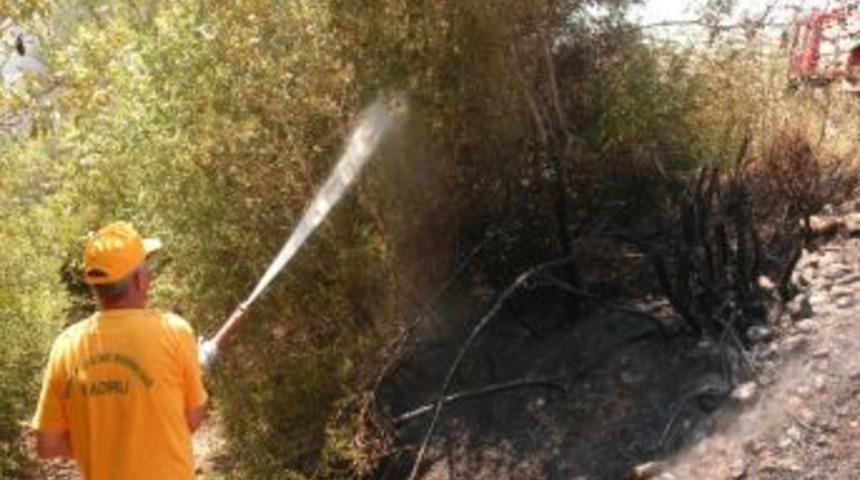 Kadirli'de Orman Yangını