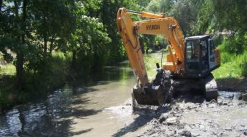 Saski Dereleri Temizliyor