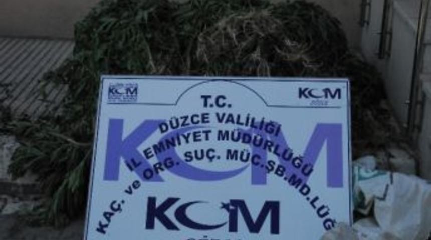 Fındık Bah&ccedil;esine Uyuşturucu Operasyonu