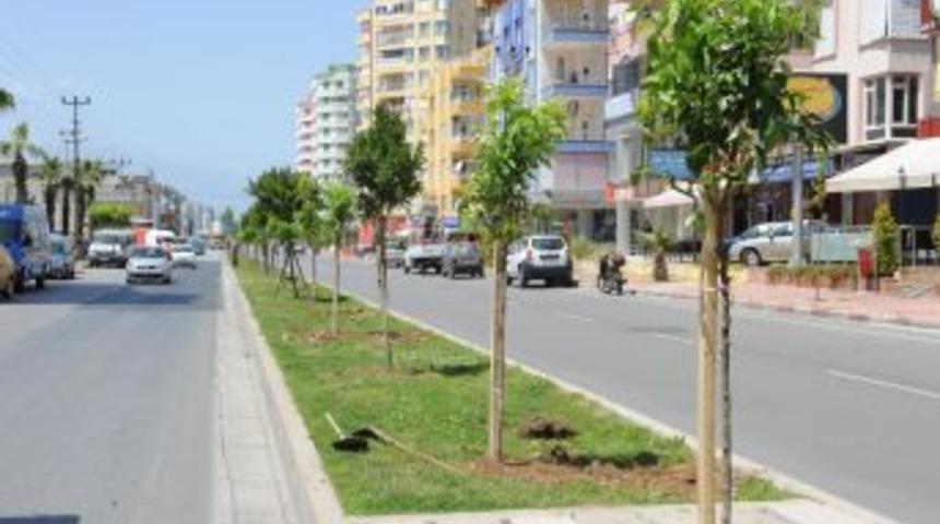 Antalya&rsquo;ya 6 Ayda 4 Bin Ağa&ccedil; Dikildi