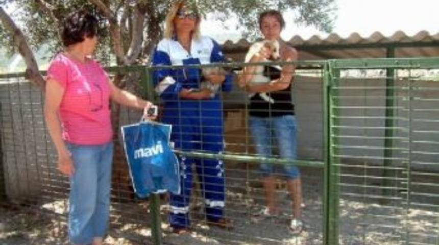 Burhaniye&rsquo;de Haytap&rsquo;tan Belediye Barınağına Tam Not