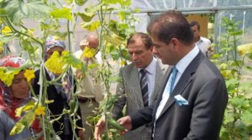 Kırıkkale&rsquo;de Kadın &Ccedil;ift&ccedil;iler Tarla G&uuml;n&uuml; Yaptı