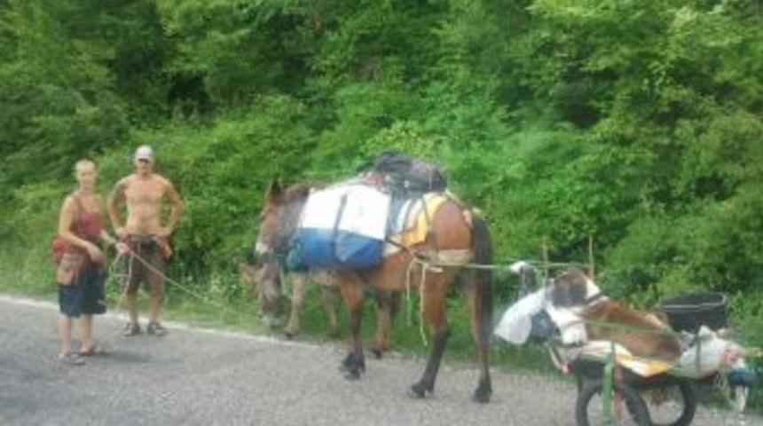 Eşek Sırtında Fransa'dan Hindistan'a Yolculuk