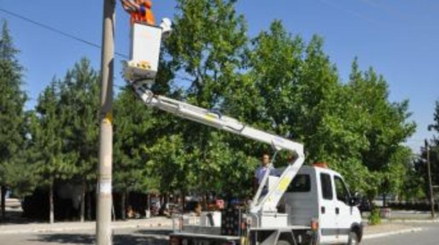 Isparta&rsquo;ya Larva G&ouml;zlem Ve Toplama İstasyonu