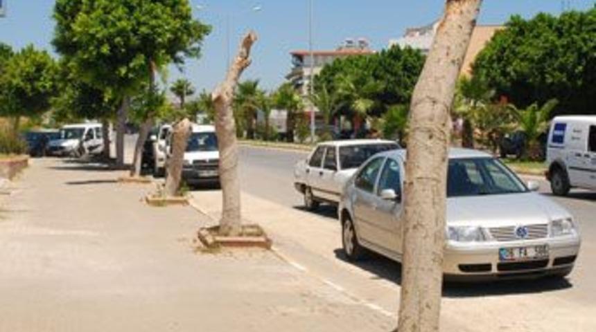 Side&rsquo;de rezalete soruşturma