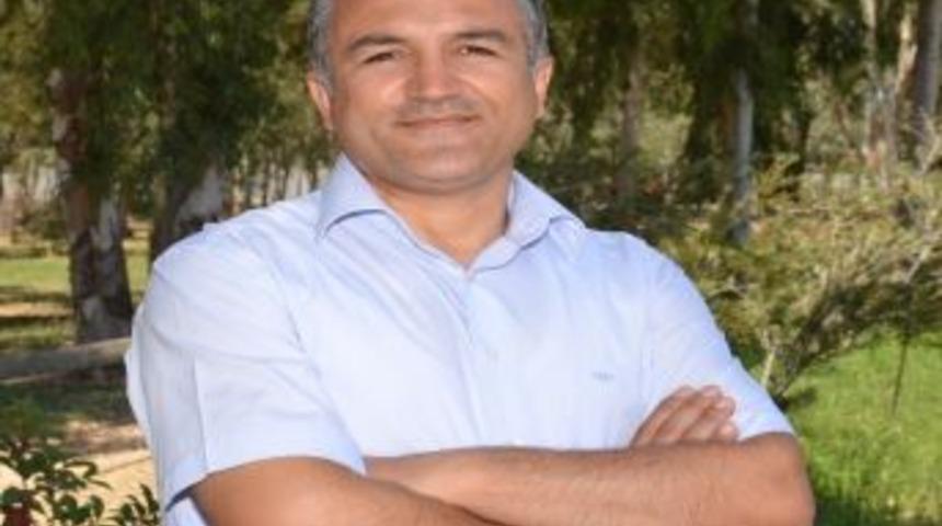 Yabani Hayvanların Buzlu Meyve Keyfi