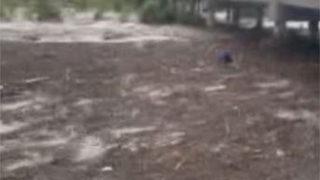 Ayancık'ta selin geliş anı kamerada