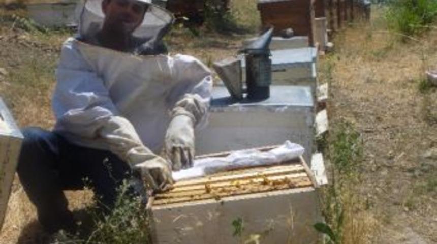 En K&uuml;&ccedil;&uuml;k Arıcı