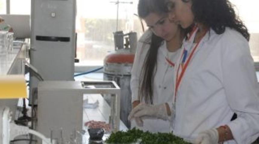 Malatya'da Kimya &Ccedil;alıştayı D&uuml;zenlendi