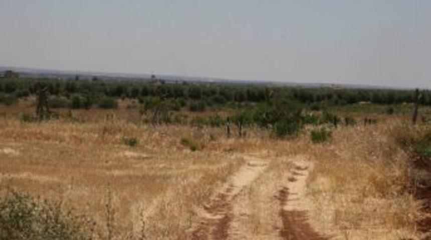 (&ouml;zel Haber) Suriye Sınırında Sessizlik