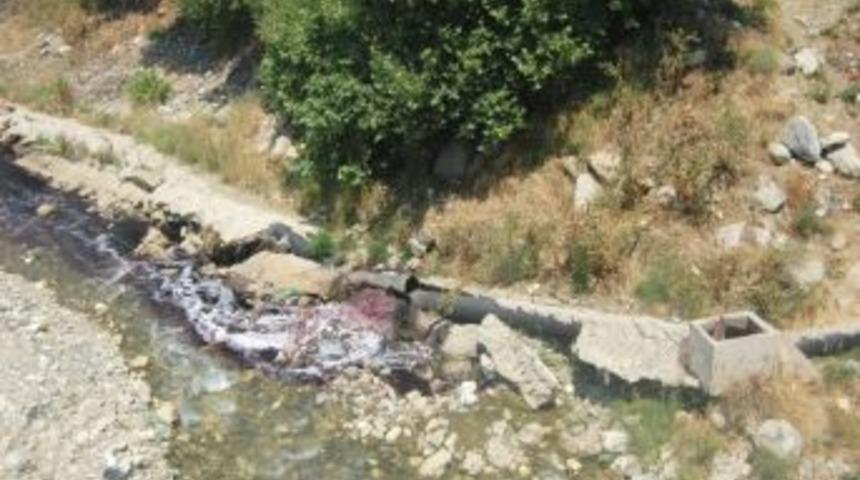 Kan Akan Dereye Tepki