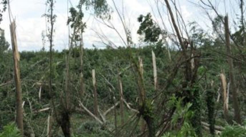 &Ccedil;arşamba&rsquo;da Hasar 3.2 Milyon Tl