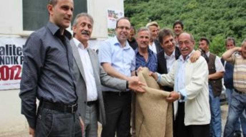 Fındık &Uuml;reticisine J&uuml;t &Ccedil;uval Dağıtımı S&uuml;r&uuml;yor