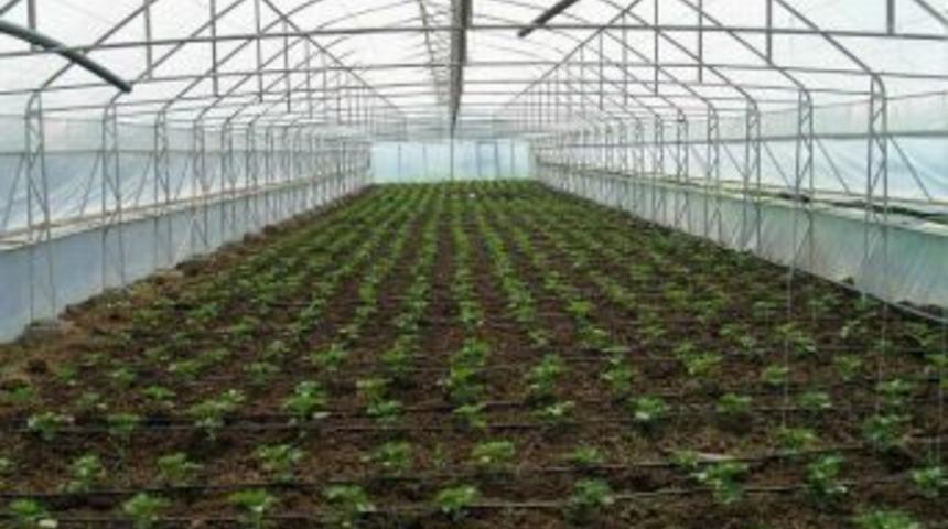 Denizbank&rsquo;tan Ege&rsquo;ye &Ouml;zel &Ouml;rt&uuml; Altı Tarım Kredisi