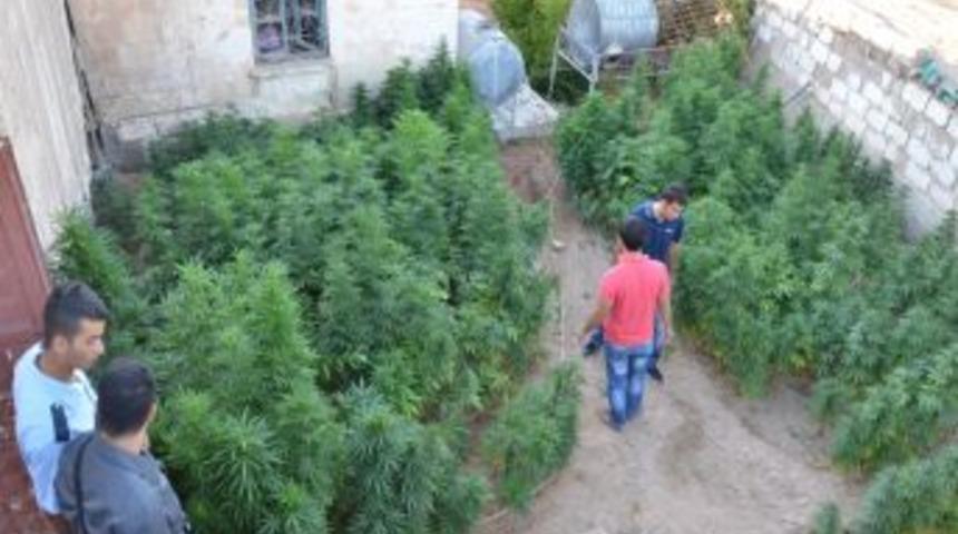 Suru&ccedil; Polisi 3 Bin 100 K&ouml;k Hint Keneviri Ele Ge&ccedil;irdi