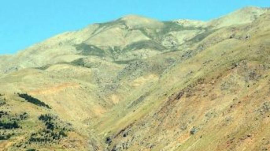 &Ccedil;elikhan Da Jari Şenliği D&uuml;zenleniyor