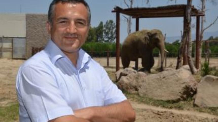 İzmirli Fillerin &ldquo;&ccedil;amur Banyosu&rdquo; Keyfi