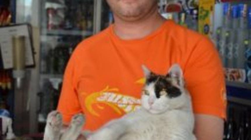 Vahşice &Ouml;ld&uuml;r&uuml;len Kedinin Sahibinden İlgin&ccedil; Ceza &Ouml;nerisi