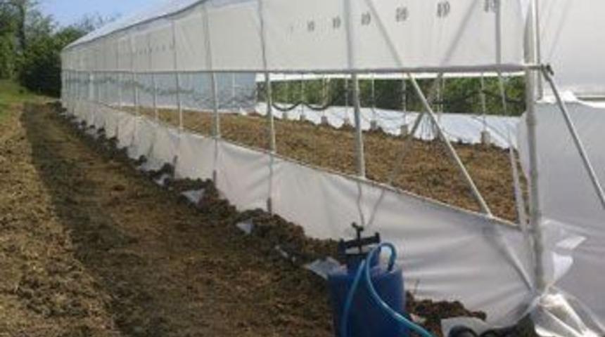 DenizBank&rsquo;tan &Ouml;rt&uuml; Altı Tarımı Kredisi!