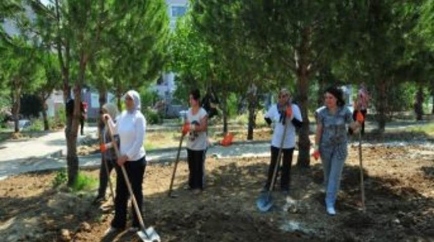 Hem Eğitim G&ouml;r&uuml;yor, Hem Şehri G&uuml;zelleştiriyorlar