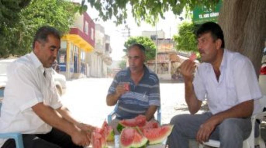 Araban Baklavası Olarak Bilinen Araban Karpuzu Tezgahlarda