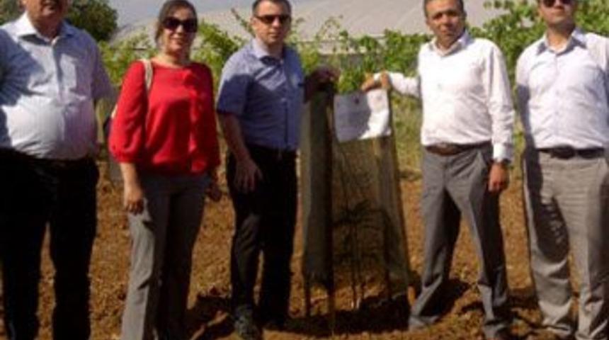 BAKA&rsquo;dan Mango bah&ccedil;elerine ziyaret