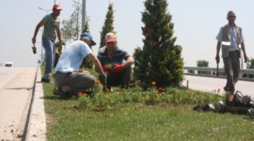 D&uuml;zce Belediyesi Kenti &Ccedil;i&ccedil;eklendiriyor