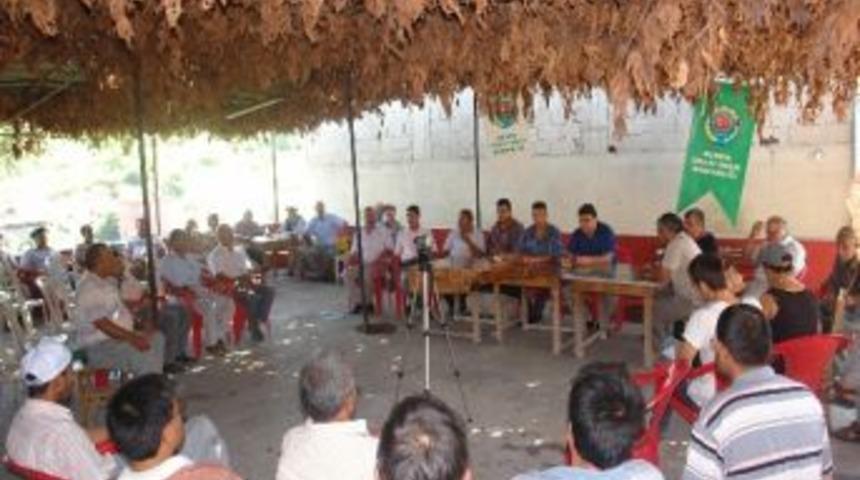 Mersinli &Uuml;z&uuml;m &Uuml;reticilerine Alternatif Alım Politikası