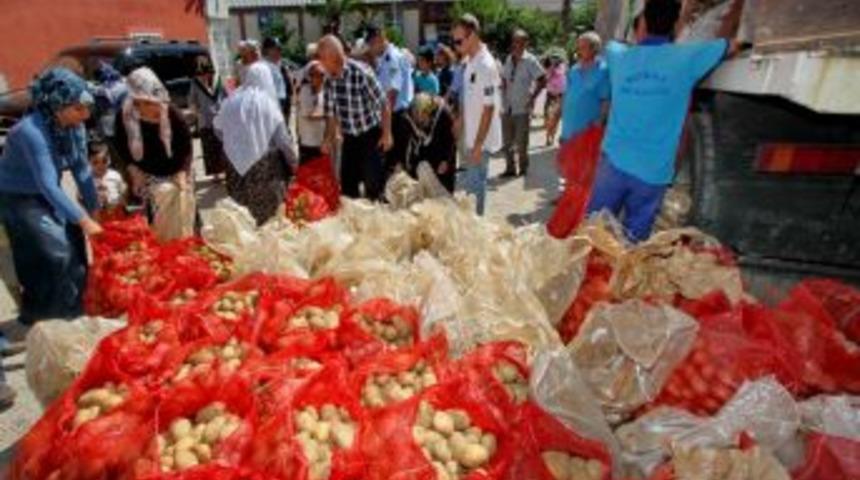Konak Belediyesi 10 Ton Patates Dağıttı