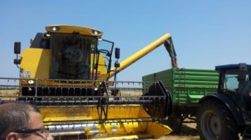 Bakan Eker Buğday Hasadı Yaptı