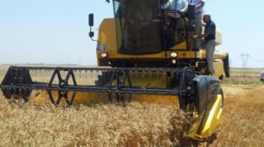 Tarım Bakanı Eker Buğday Hasadı Yaptı