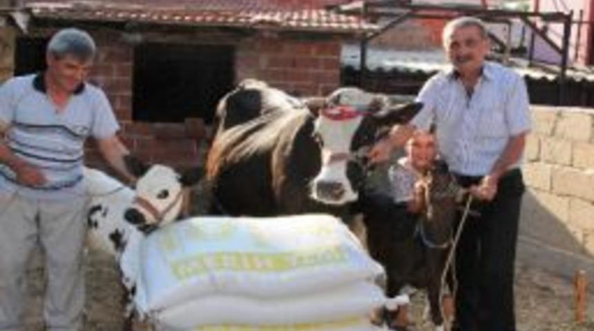 Sarıg&ouml;l Ziraat Odası&rsquo;ndan Yem Desteği