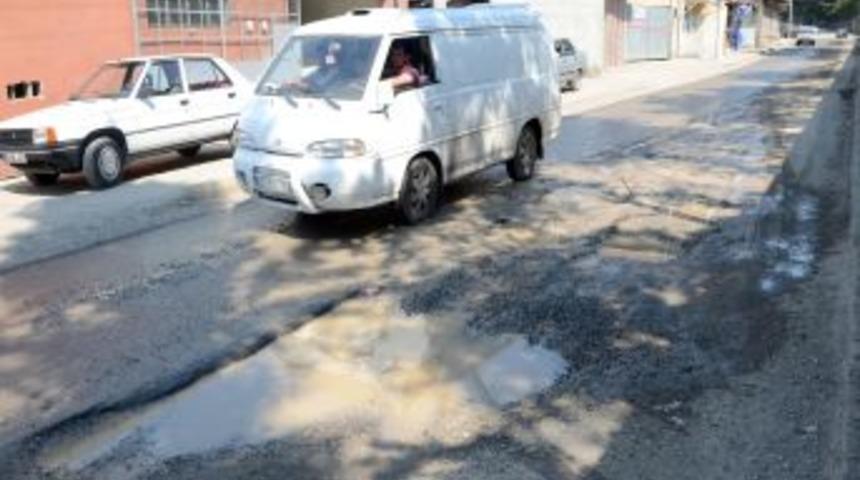 K&ouml;stebek Yuvasına D&ouml;nen Yollar, Vatandaşı Isyan Ettirdi