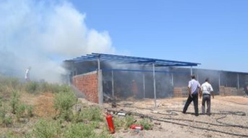 Kesim Makinesi Otları Yaktı