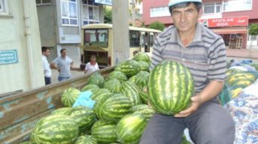 Hayrabolu&rsquo;nun Yerli Karpuzu &Ccedil;ıktı