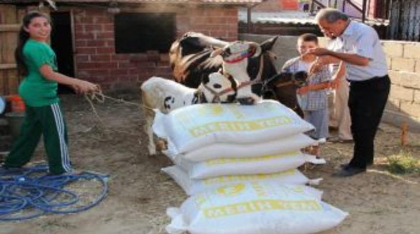 Sarıg&ouml;l Ziraat Odası&rsquo;ndan Yem Desteği