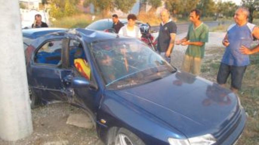 &Ouml;n&uuml;ne &Ccedil;ıkan K&ouml;peği Ezmemek I&ccedil;in Driksiyonu Kırdı Direğe &Ccedil;arptı