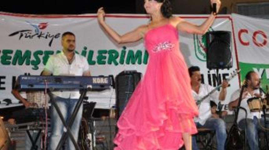 19.z&uuml;mr&uuml;t Yenice K&uuml;lt&uuml;r Ve Sanat Festivali Yapıldı